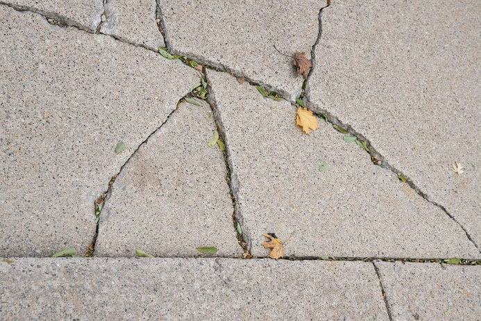 A slab of concrete with several large cracks filled with grass and debris.